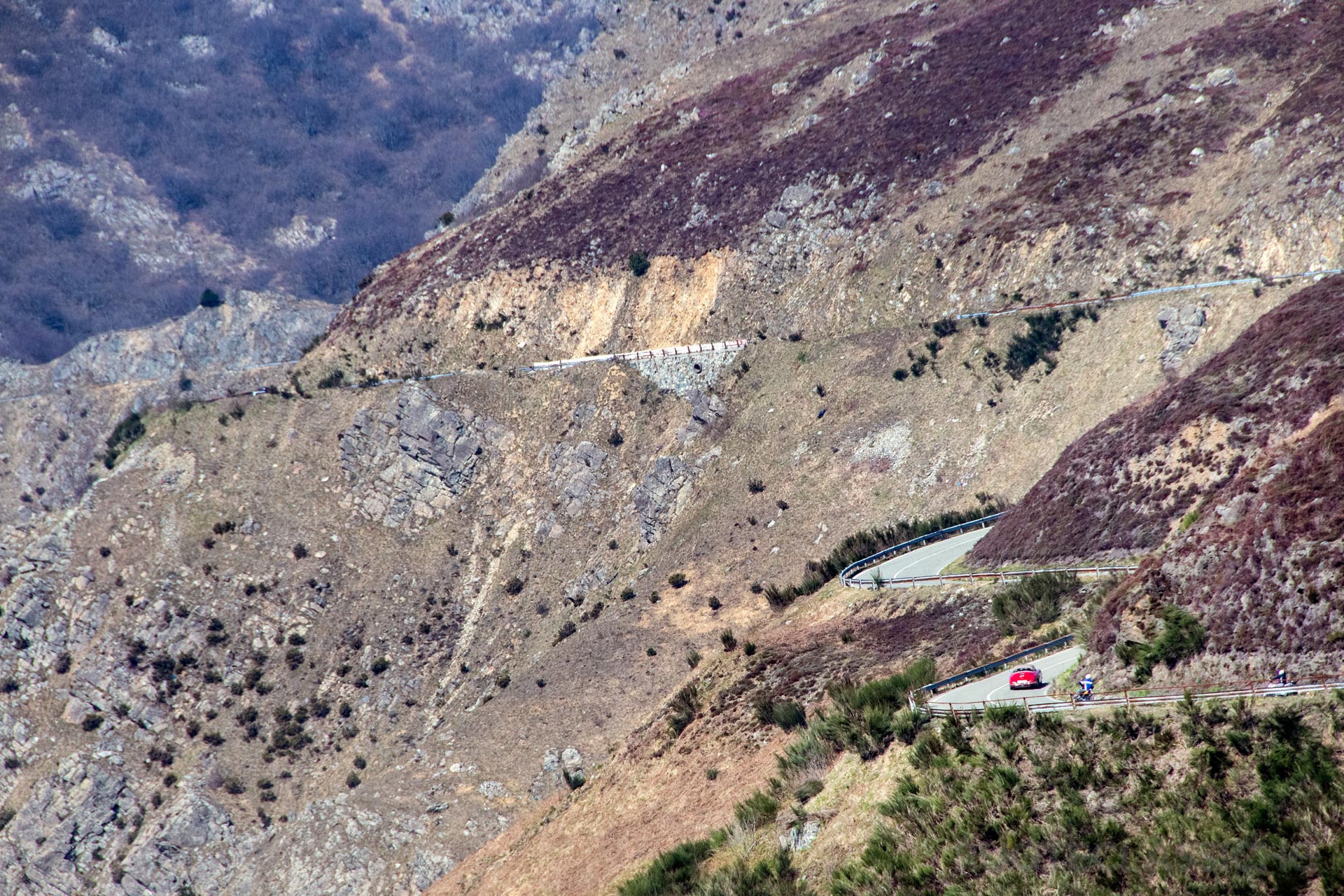 Coppa Milano Sanremo 2019