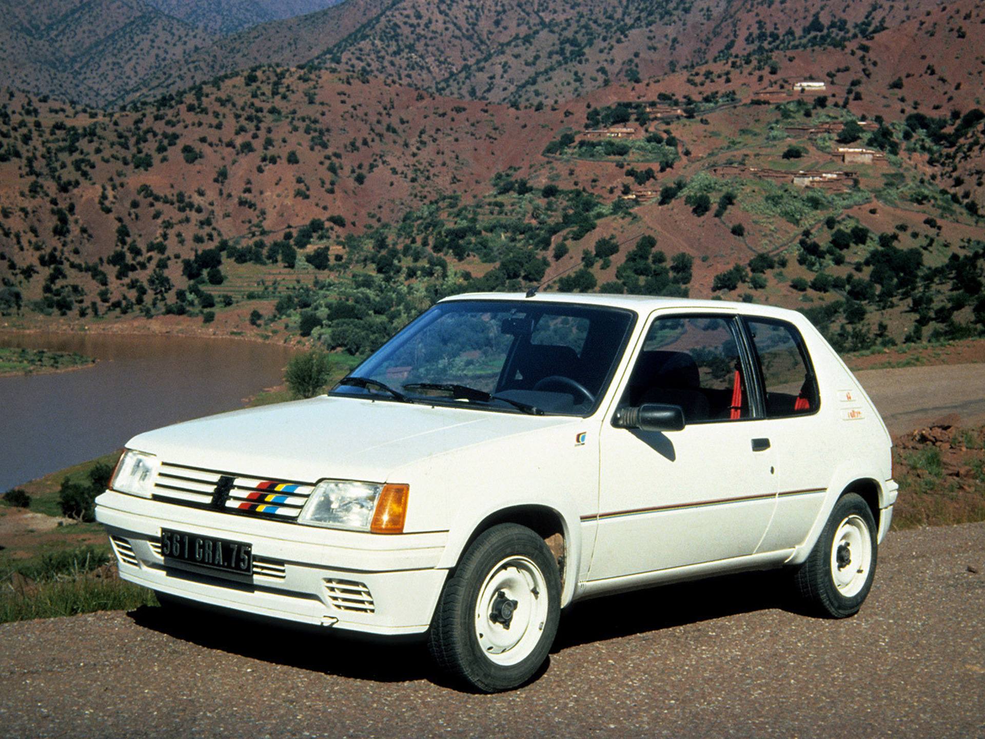 peugeot_205_106_rallye_1_4.JPG