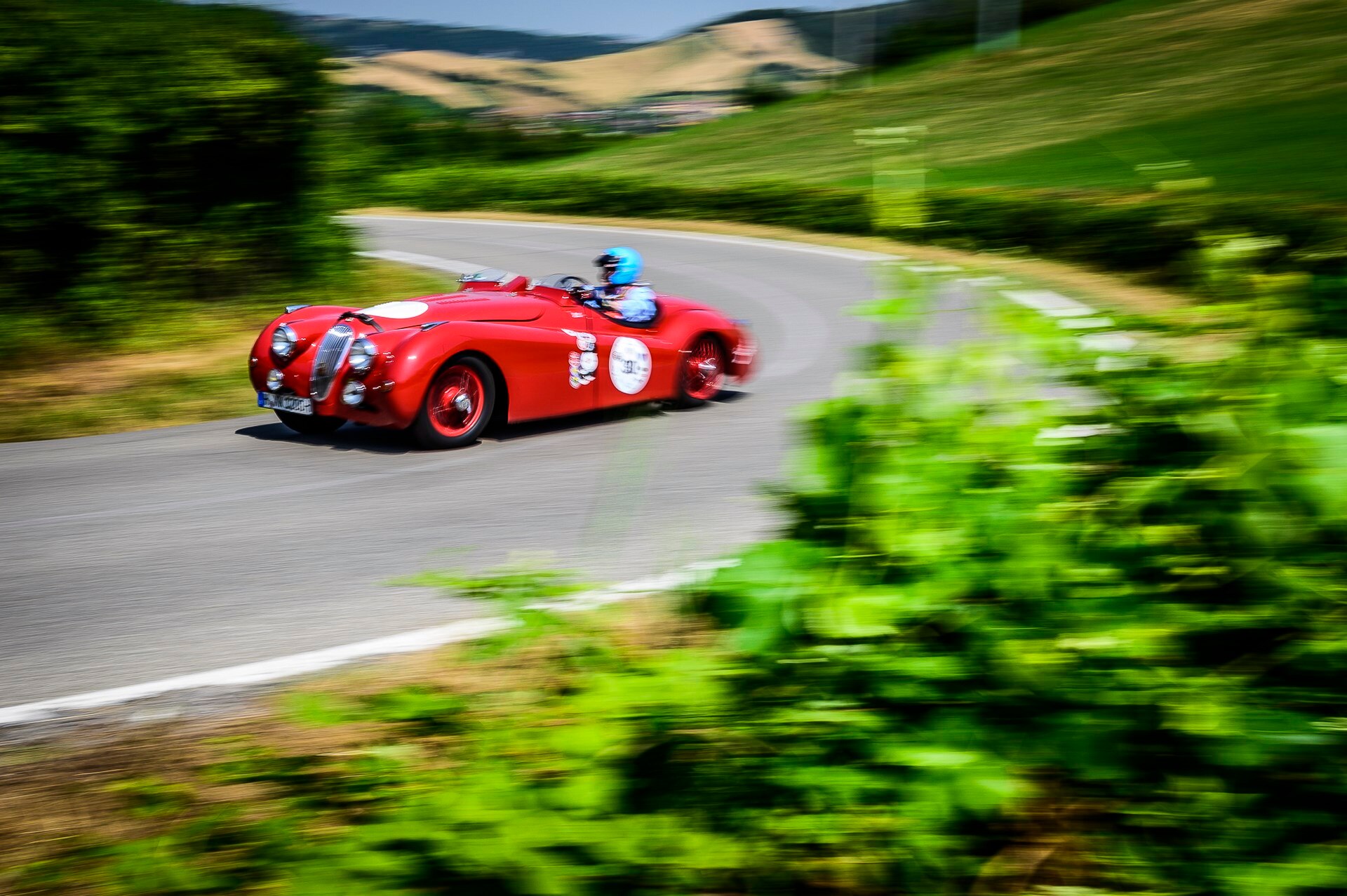 DSC8730copiaLOW