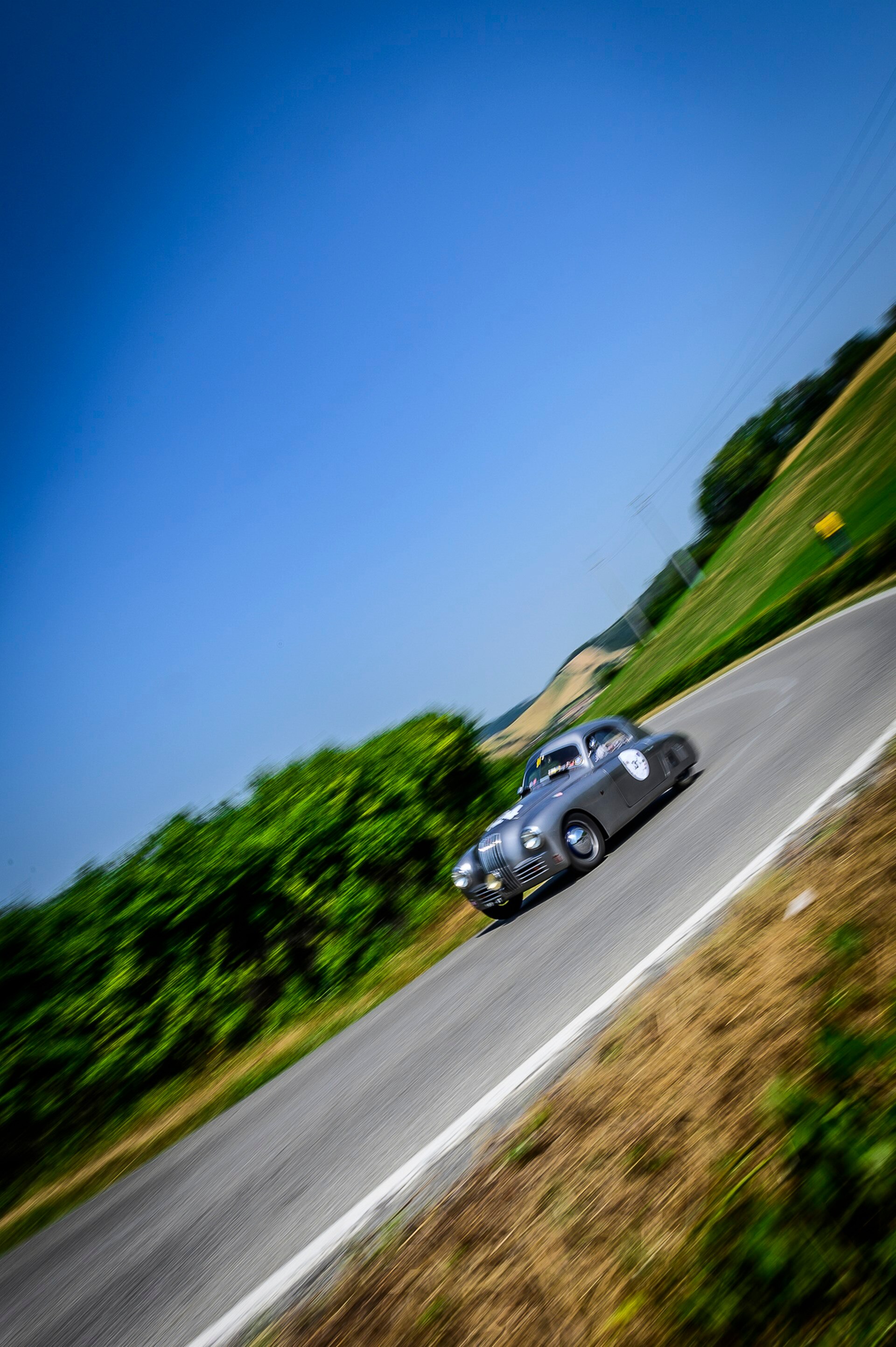 DSC8738copiaLOW