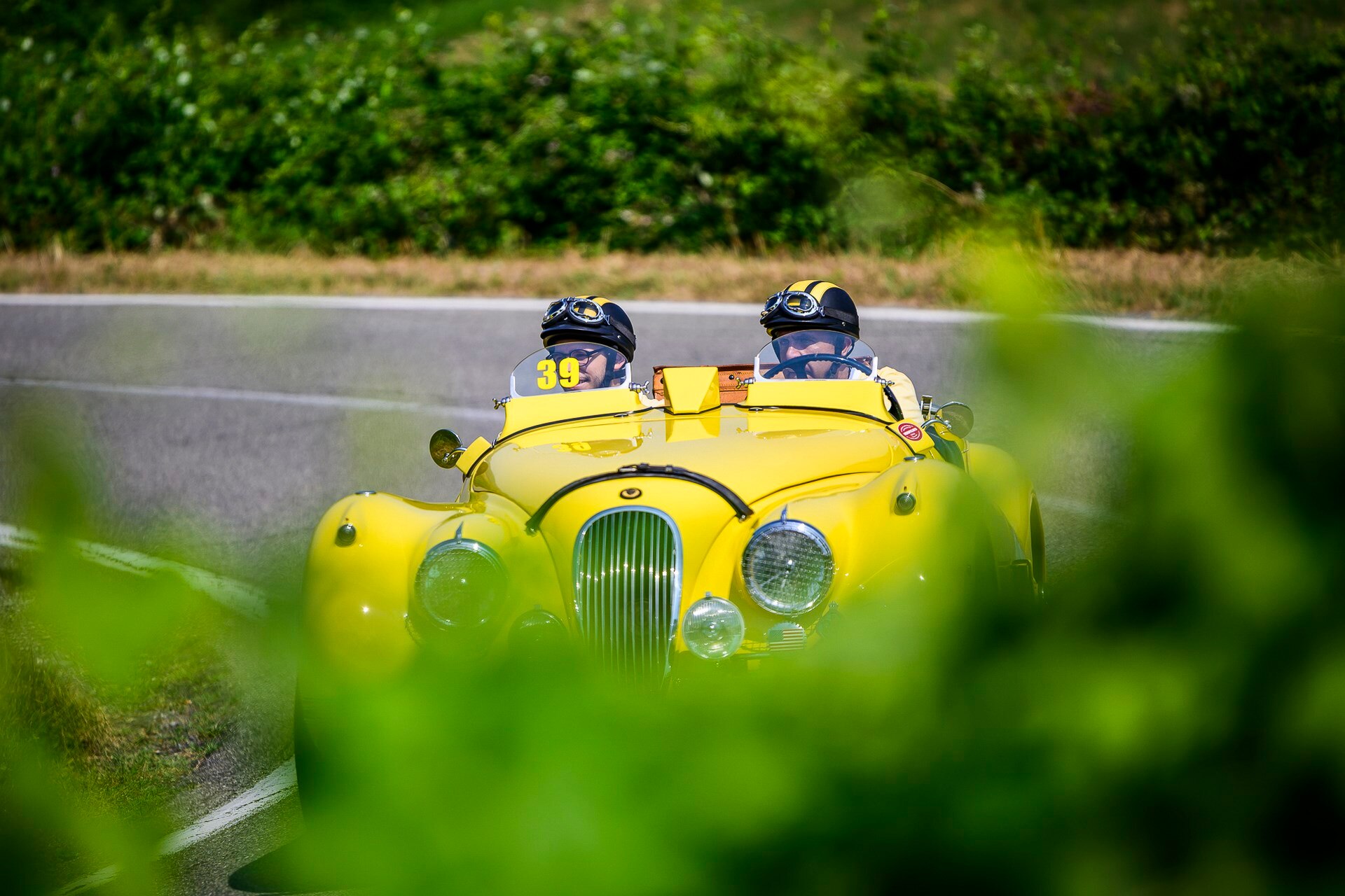 DSC9717copiaLOW