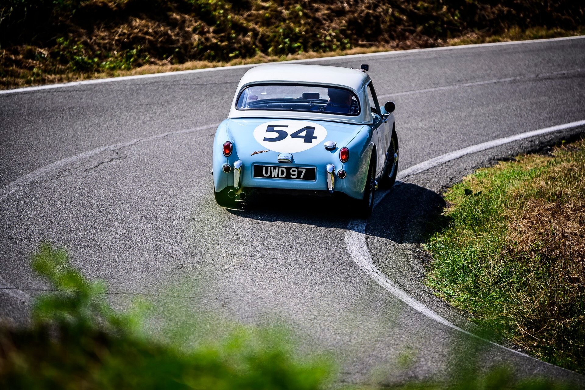 DSC9740copiaLOW