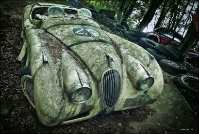 Forest Punk, quando la ruggine diventa arte