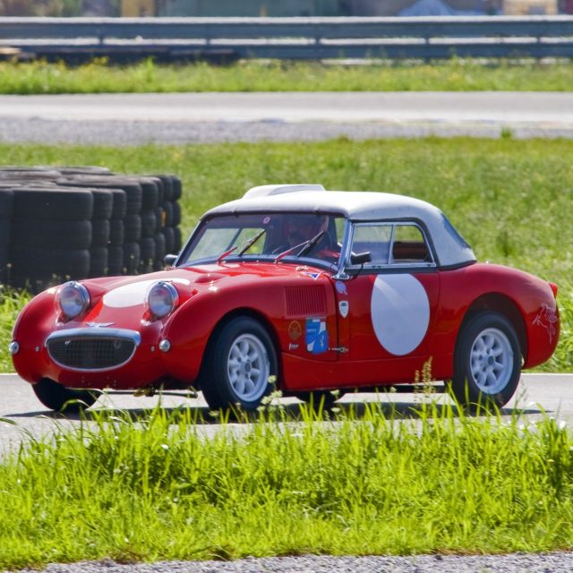 Una Austin Healey Sprite con tanta voglia di correre