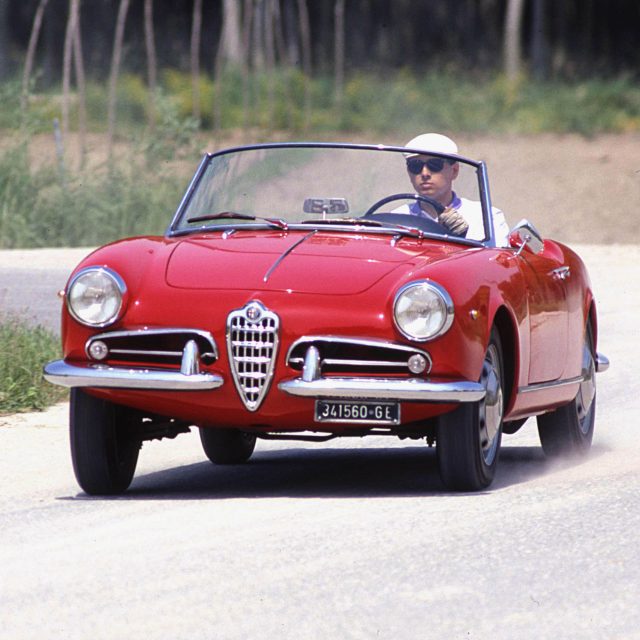 Buon compleanno Alfa!