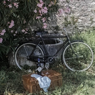 Il Museo Nicolis racconta la Valpolicella