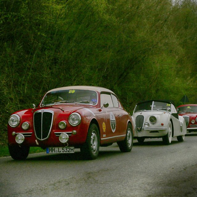 Terre di Canossa, al via la decima edizione