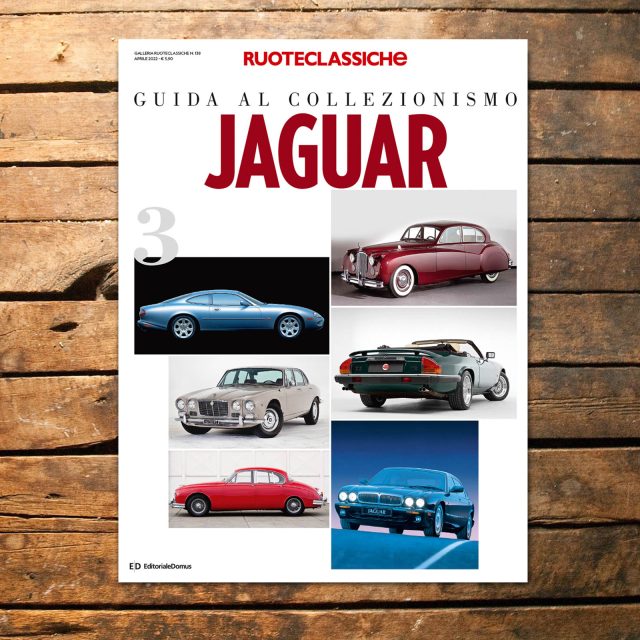 Guida al Collezionismo, sotto il segno del giaguaro