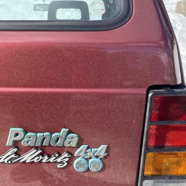 Panda a Sankt Moritz: ritornano il 24 settembre