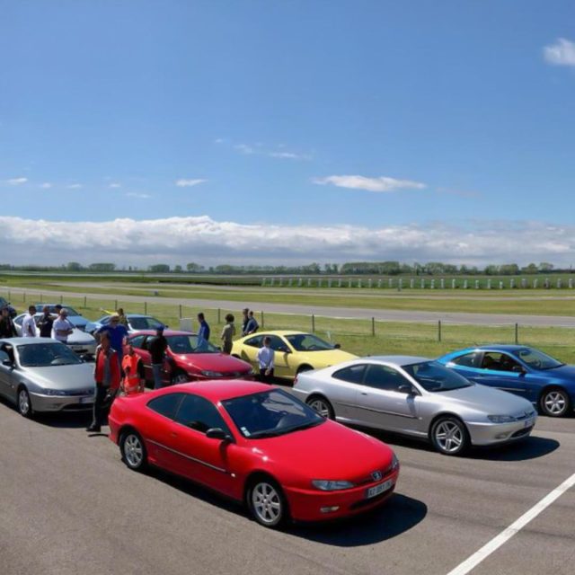 Coupé del Leone tra i Castelli Romani