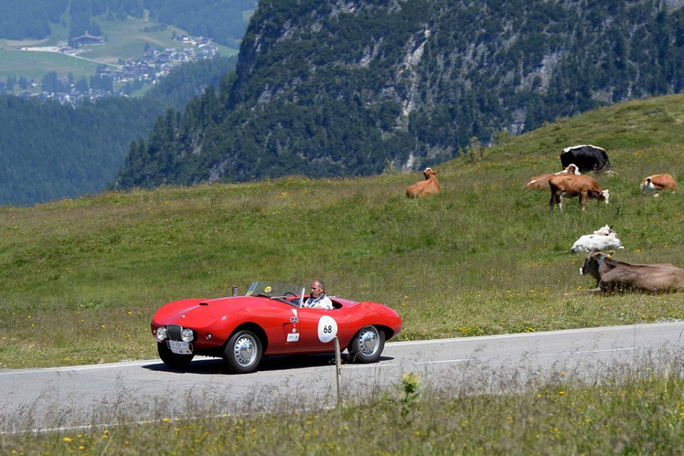 La Stella Alpina ai nastri di partenza