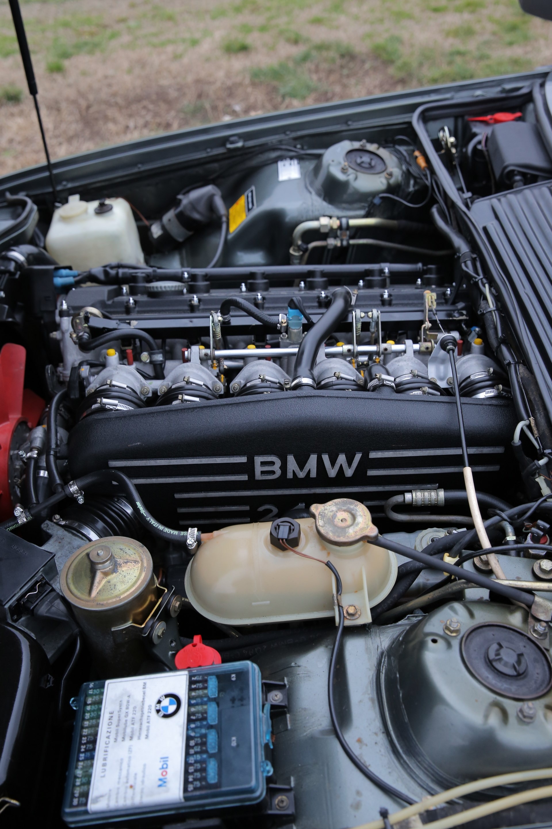 Kit De Resortes De Suspensión BMW E3 A Un Precio Económico En