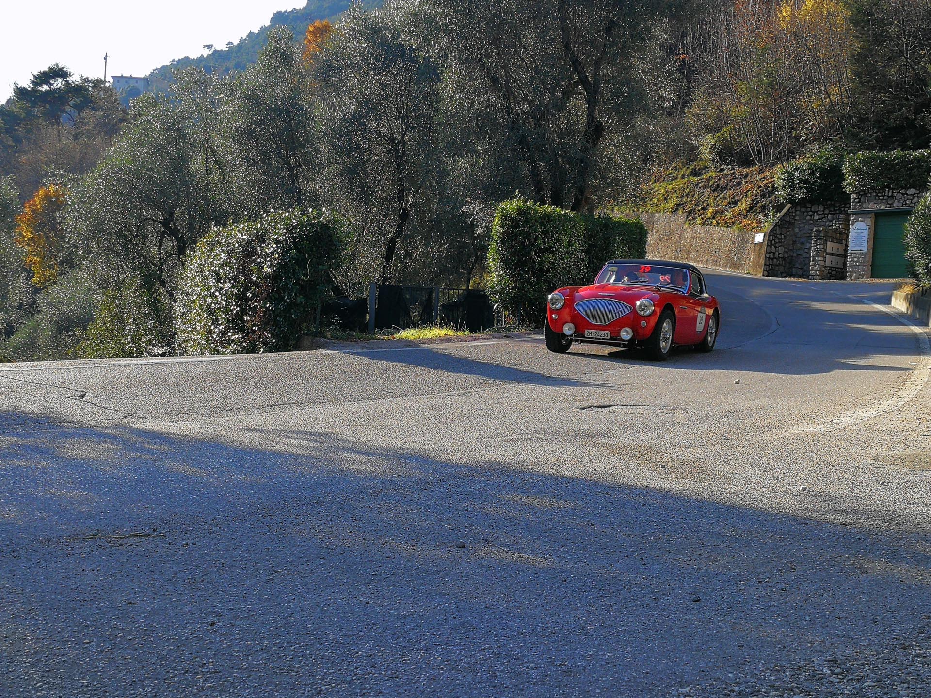 Coppa delle Alpi 2019 (foto di 1000 Miglia Srl)