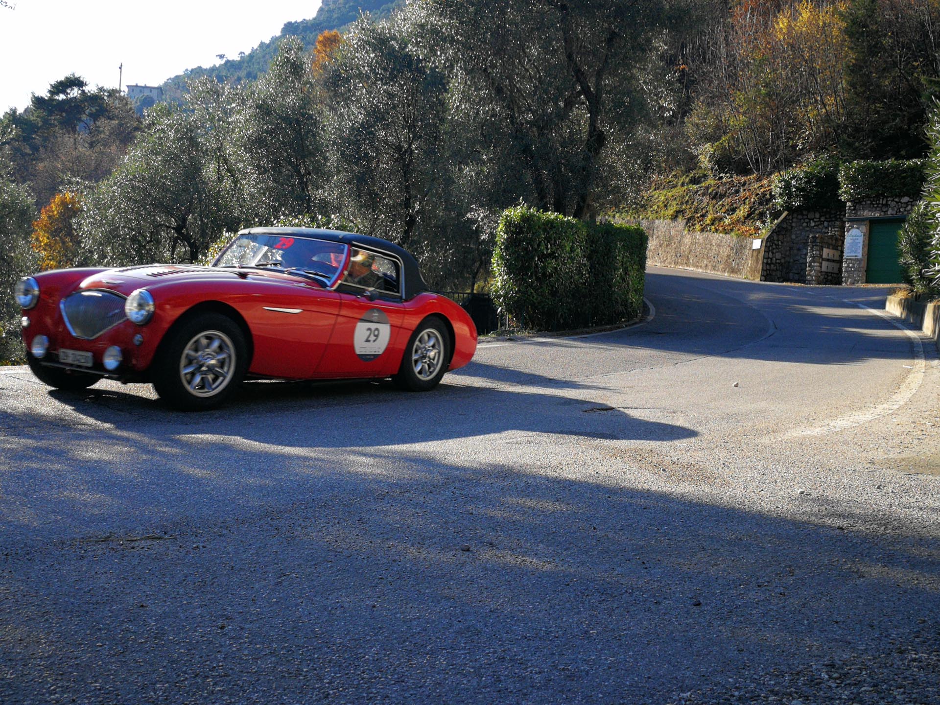 Coppa delle Alpi 2019 (foto di 1000 Miglia Srl)