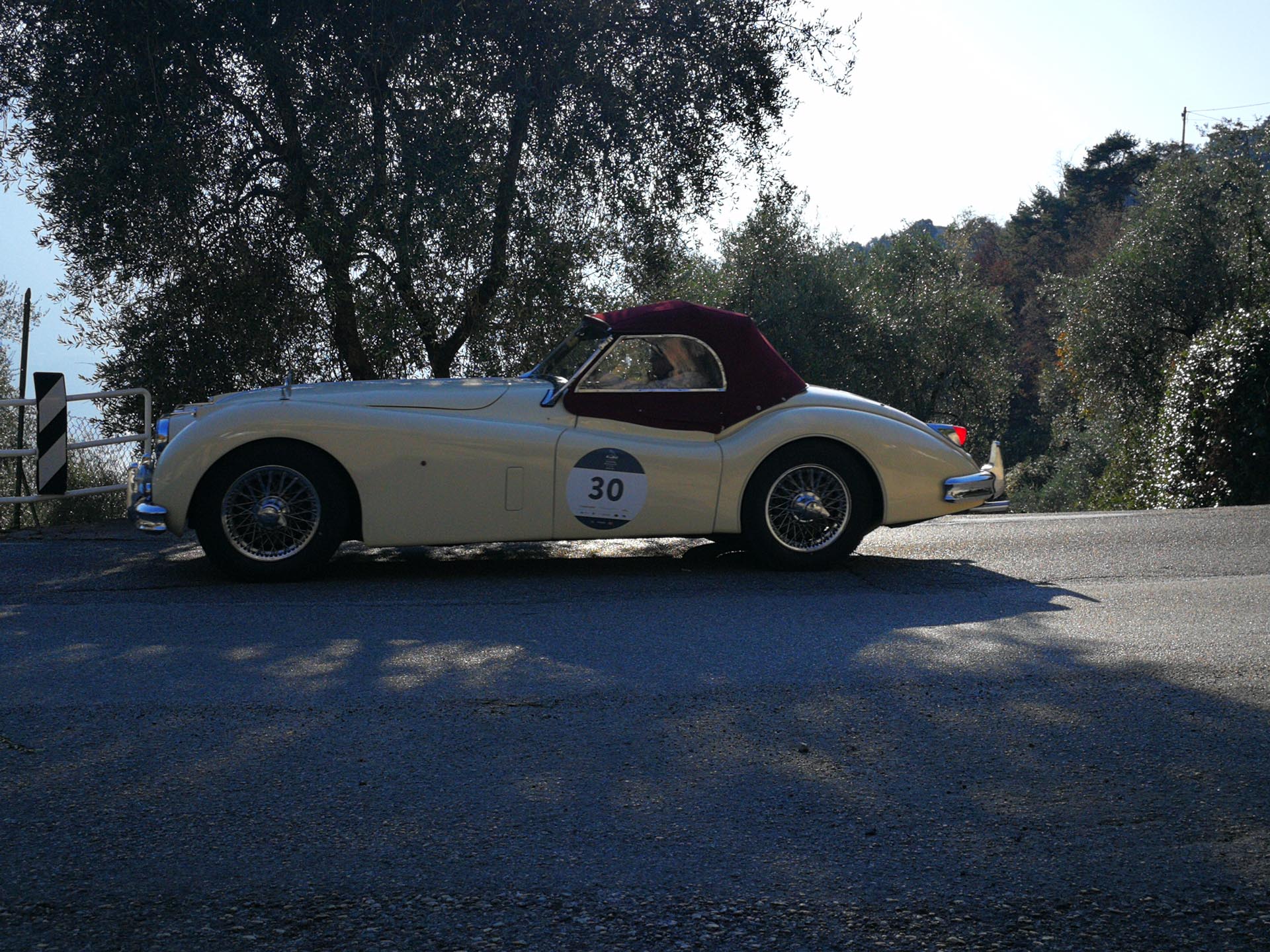Coppa delle Alpi 2019 (foto di 1000 Miglia Srl)