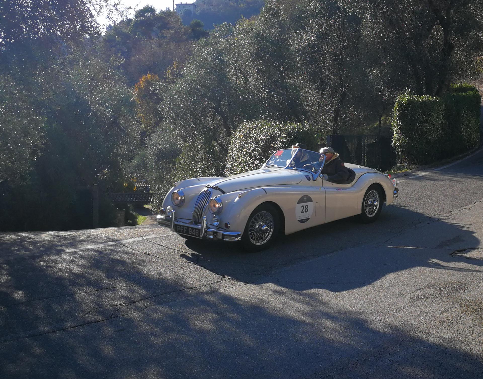 Coppa delle Alpi 2019 (foto di 1000 Miglia Srl)