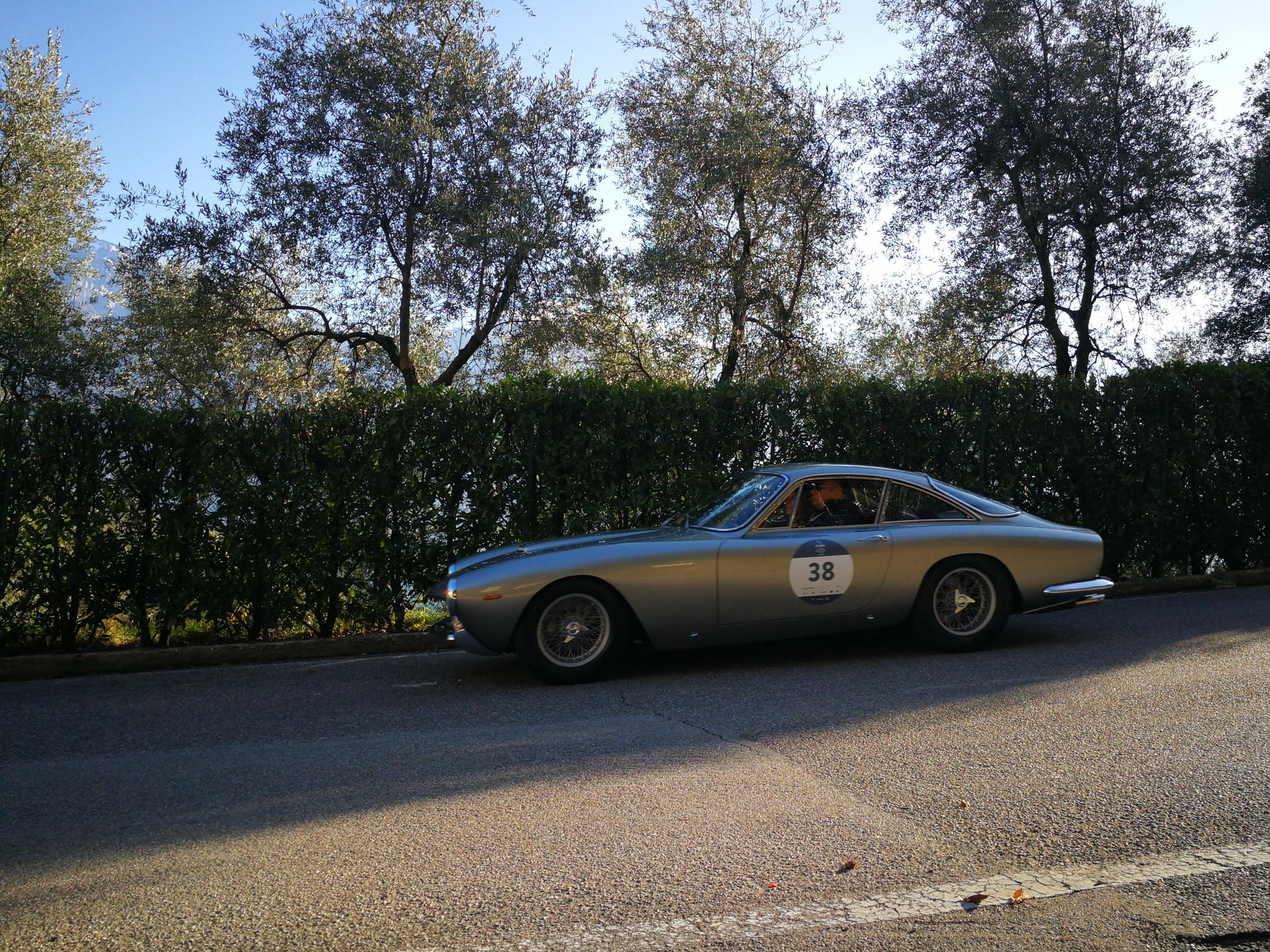 Coppa delle Alpi 2019 (foto di 1000 Miglia Srl)
