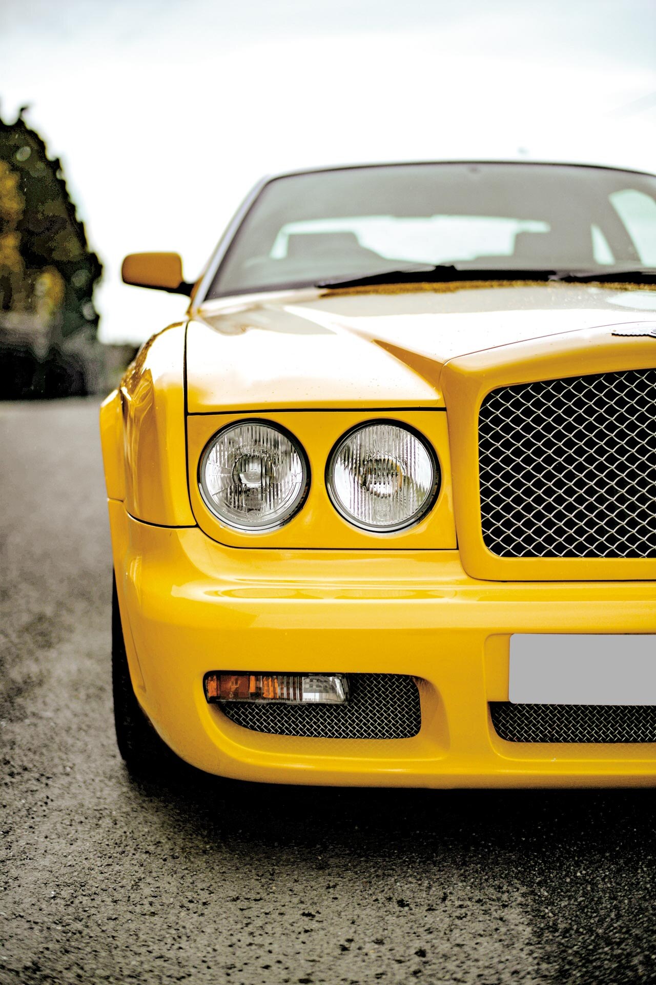 2019 fuori concorso bentley 74