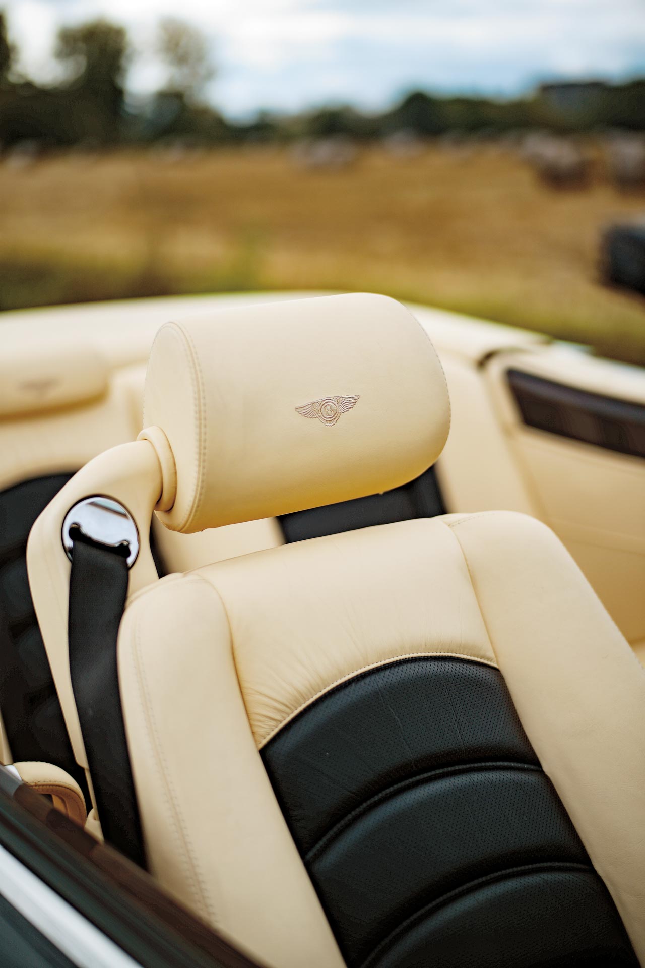 2019 fuori concorso bentley 9