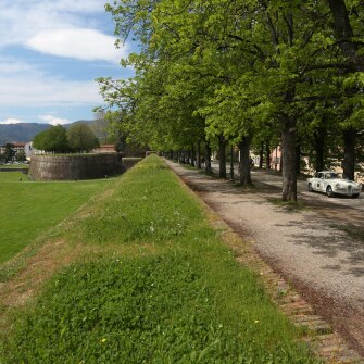 2019-terre-di-canossa-142