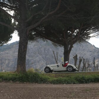 2019-terre-di-canossa-146