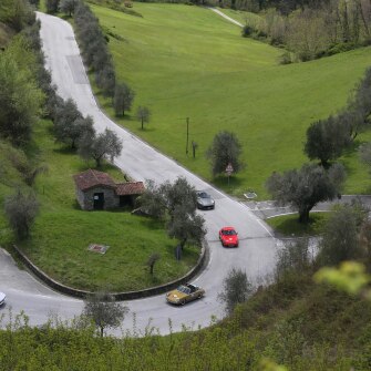 2019-terre-di-canossa-155