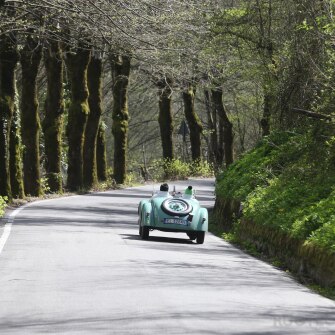 2019-terre-di-canossa-162