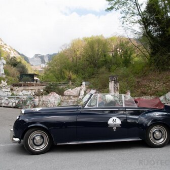 2019-terre-di-canossa-171