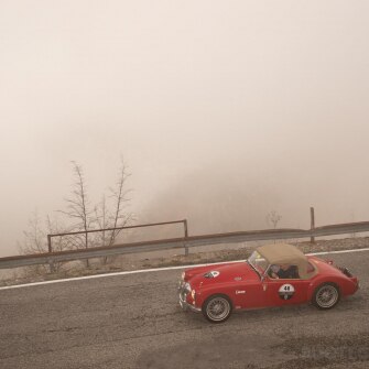2019-terre-di-canossa-181