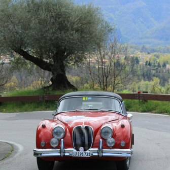 2019-terre-di-canossa-195
