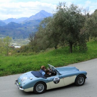 2019-terre-di-canossa-196