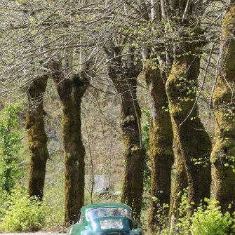 2019-terre-di-canossa-203