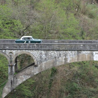 2019-terre-di-canossa-206