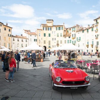 2019-terre-di-canossa-217