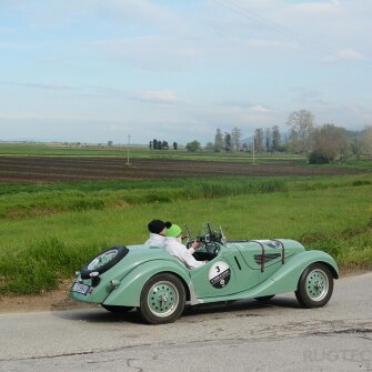 2019-terre-di-canossa-225