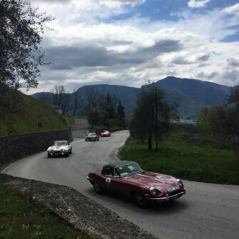 2019-terre-di-canossa-241