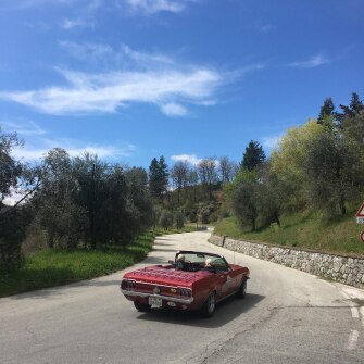 2019-terre-di-canossa-244