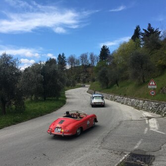 2019-terre-di-canossa-246
