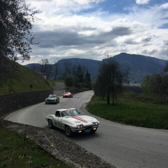 2019-terre-di-canossa-249