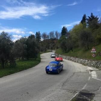 2019-terre-di-canossa-252