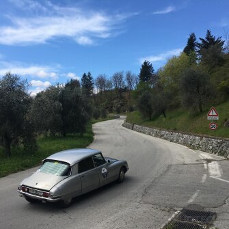 2019-terre-di-canossa-253