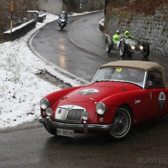 2019-terre-di-canossa-261