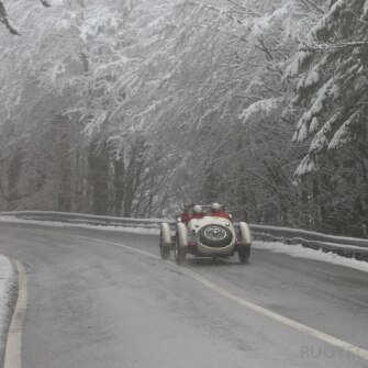 2019-terre-di-canossa-281