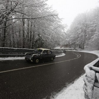 2019-terre-di-canossa-294