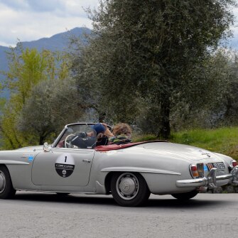 2019-terre-di-canossa-319