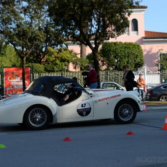 2019-terre-di-canossa-321