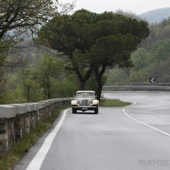 2019-terre-di-canossa-50