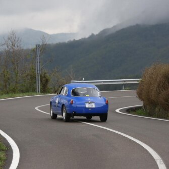 2019-terre-di-canossa-52