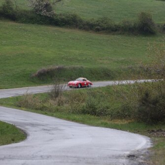 2019-terre-di-canossa-54