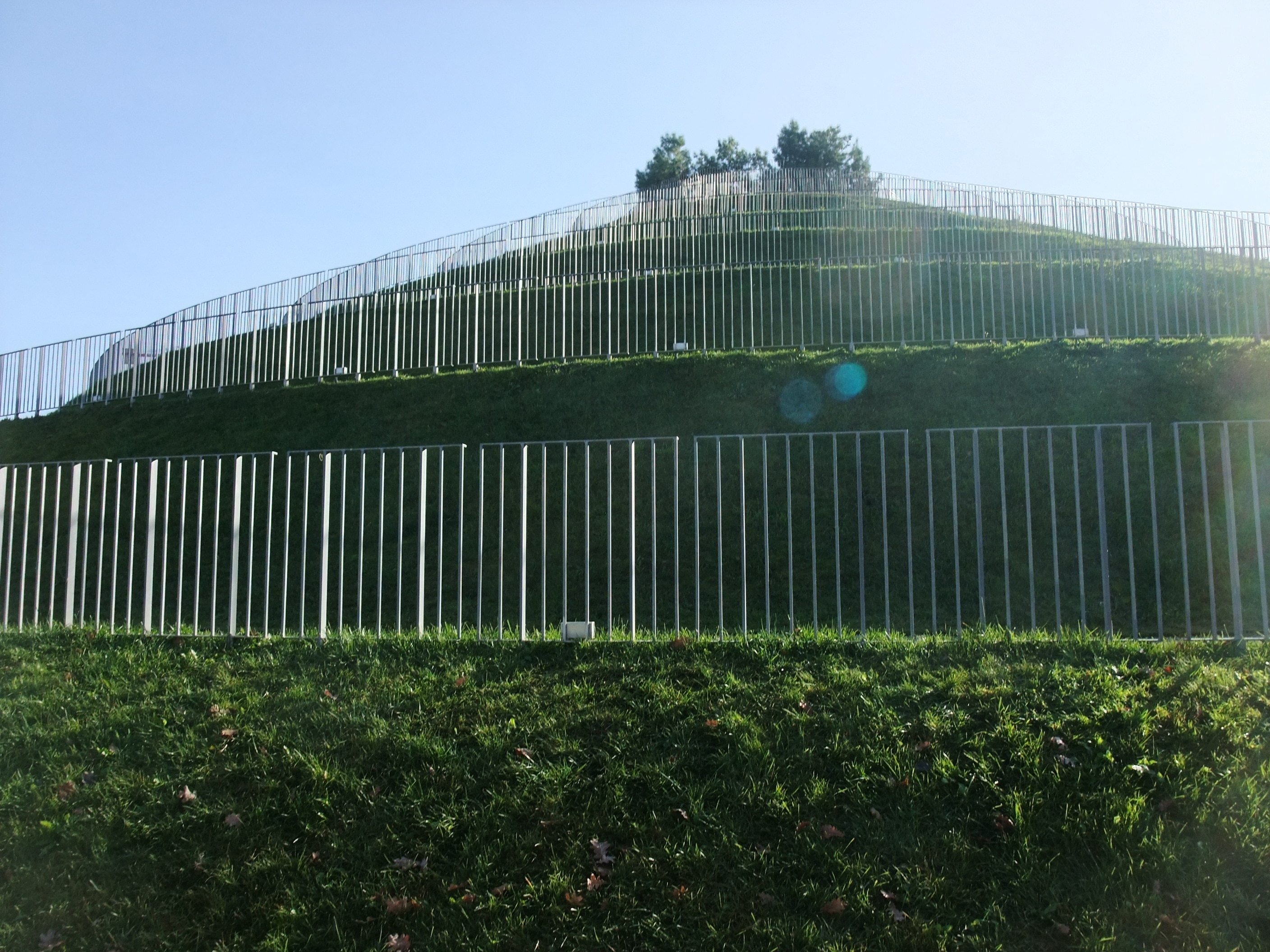 Torna il Portello, ma questa volta è un parco - Immagine #5